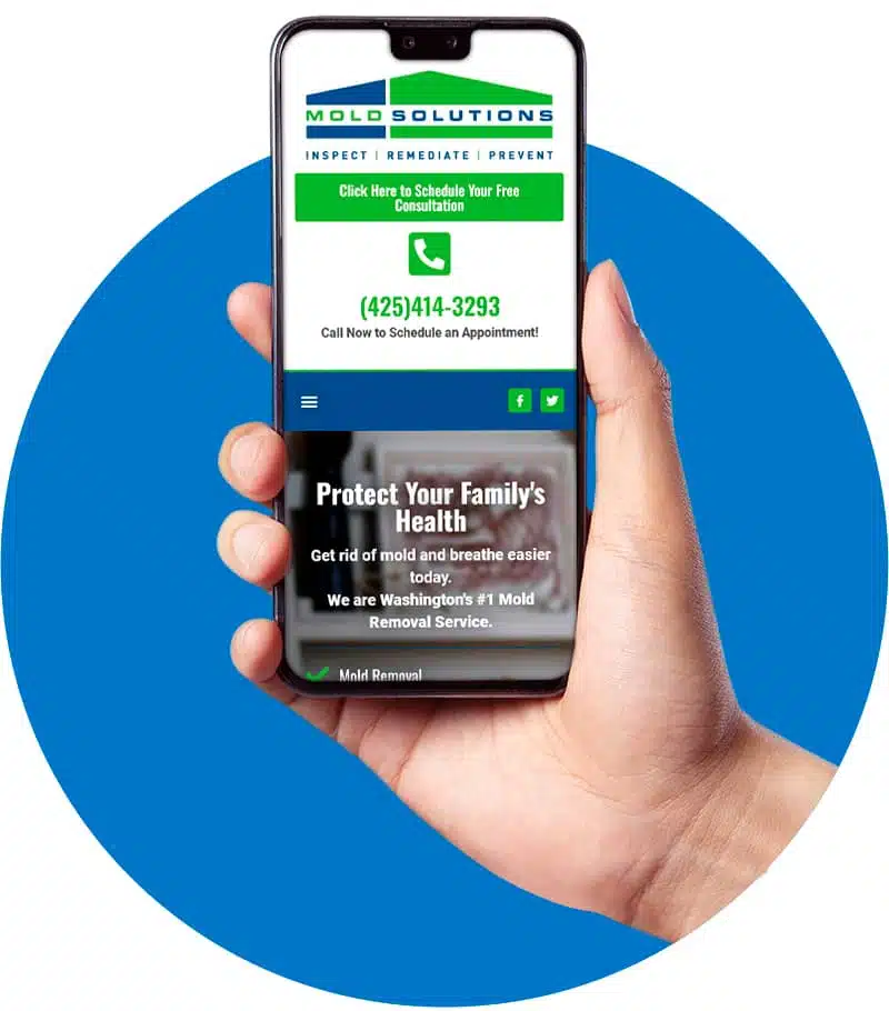 Mold Solutions NW