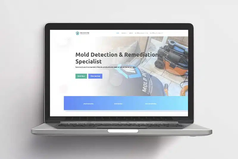 Mold Detection and Remediation Specialists
